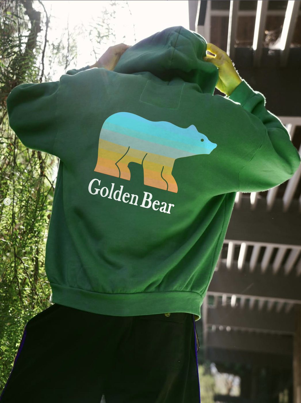 Back of a forest green hoodie with a large Golden Bear silhouette filled with sunset artwork